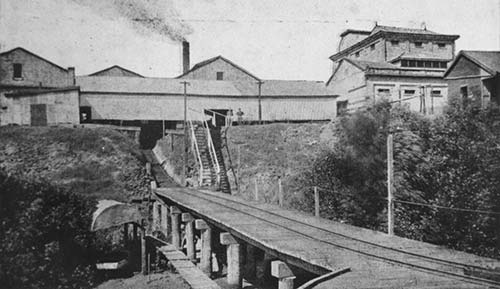 The first barrel of Bundaberg Rum rolls off the production line.