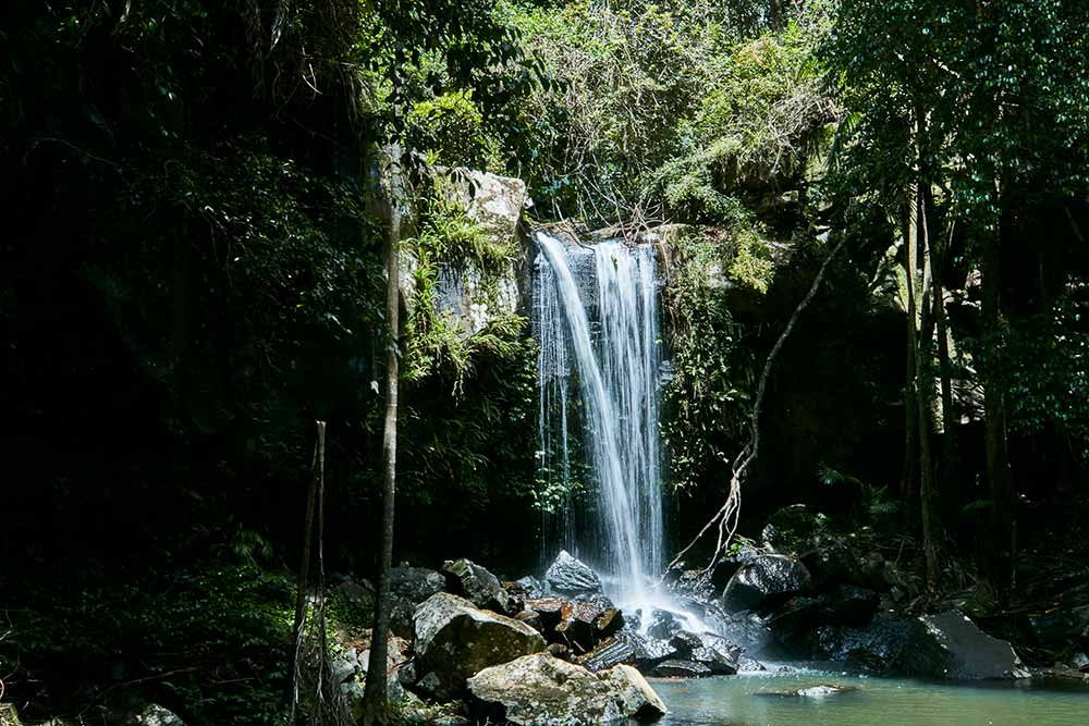 Witches Falls at Mount Tamborine is proclaimed Queensland's first national park.