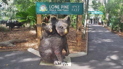 Lone Pine Koala Sanctuary opens in Brisbane's western suburbs and is the world's first koala sanctuary and the first to breed captive koalas.