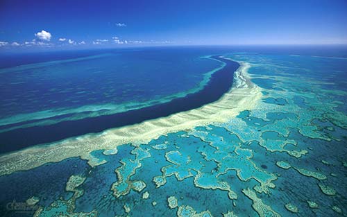 The Great Barrier Reef is World Heritage listed.