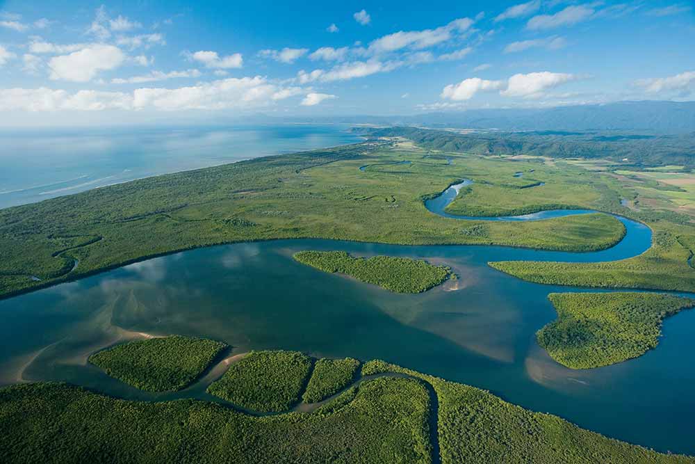 The Daintree Rainforest is World Heritage listed.