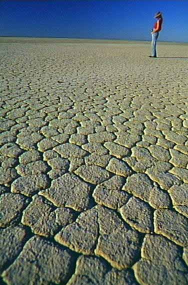 In March, the drought, covering more than 80 per cent of the state, is declared as the worst on record.